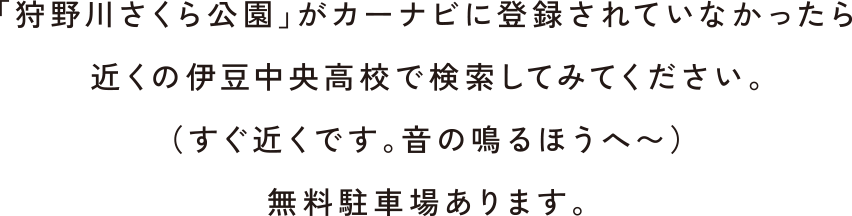 「狩野川さくら公園」がカーナビに登録されていなかったら近くの伊豆中央高校で検索してみてください。（すぐ近くです。音の鳴るほうへ〜）無料駐車場あります。