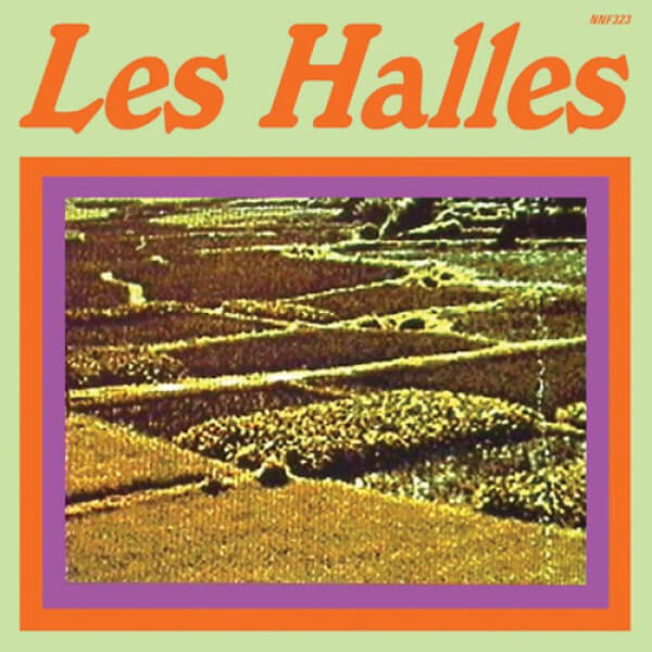 Les Halles 『Transient LP』（Not Not Fun）